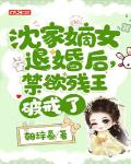 沈家嫡女退婚后，禁欲残王破戒了