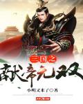 三国之献帝无双