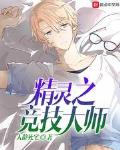 精灵之竞技大师